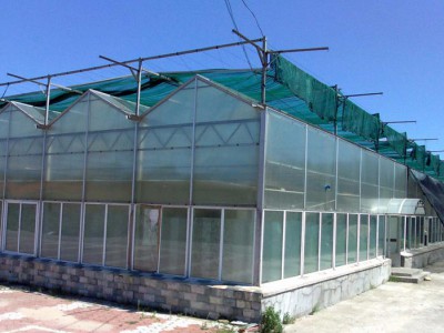 陽光板溫室